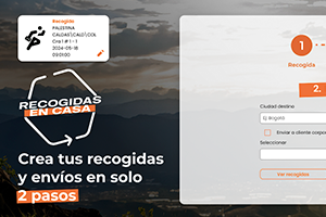 Portfolio Project Interrapidisimo